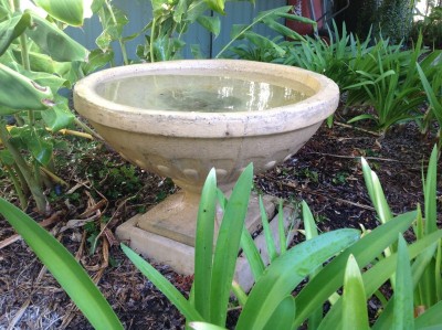 Bird Baths