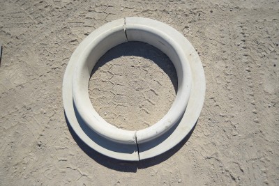 Tree Rings and Garden Edging